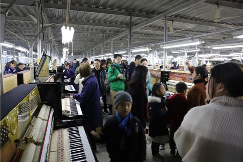 門德爾松鋼琴在華20周年慶典系列 迎新音樂會與工廠開放日拉開技術合作新篇章